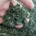 贵州绿茶，2020年朵贝贡茶系列—春茶高绿