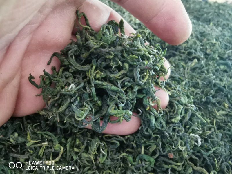 贵州绿茶，2020年朵贝贡茶系列—春茶高绿
