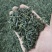 贵州绿茶，2020年朵贝贡茶系列—春茶高绿