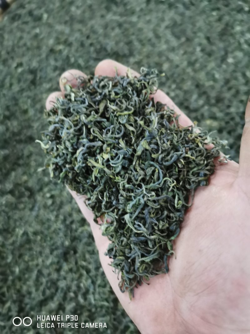 贵州绿茶，2020年朵贝贡茶系列—春茶高绿