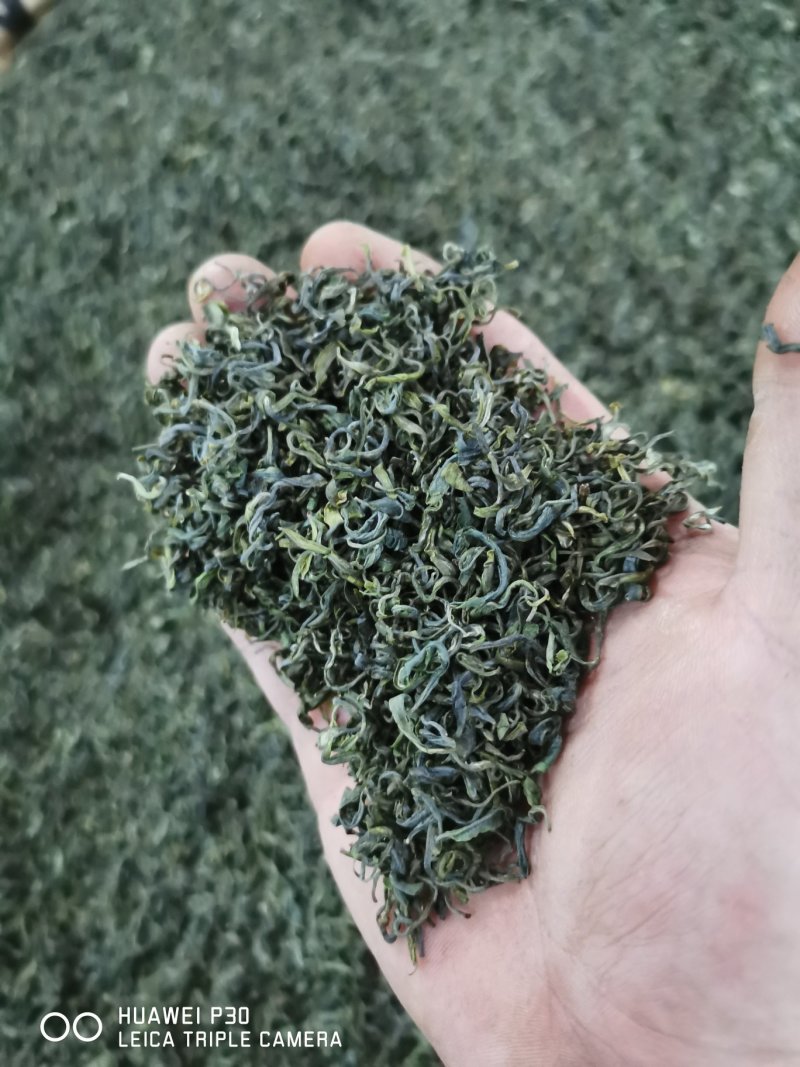 贵州绿茶，2020年新茶夏秋茶，卷曲型，