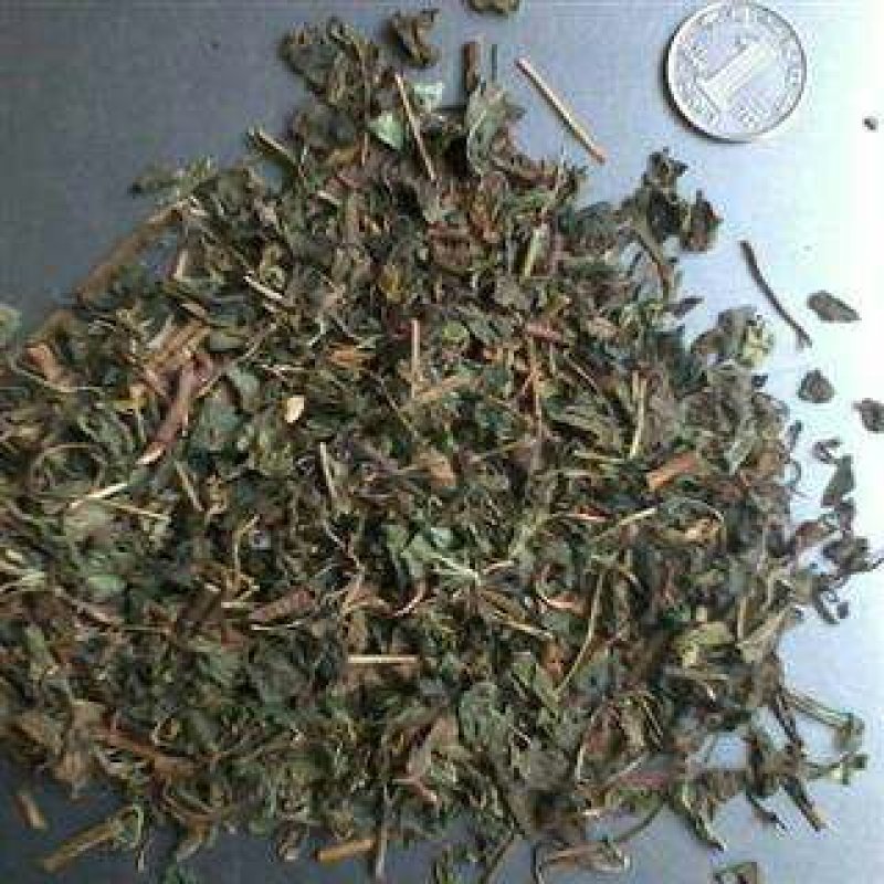 绞股蓝，常年批发供应，药食同源绞股蓝