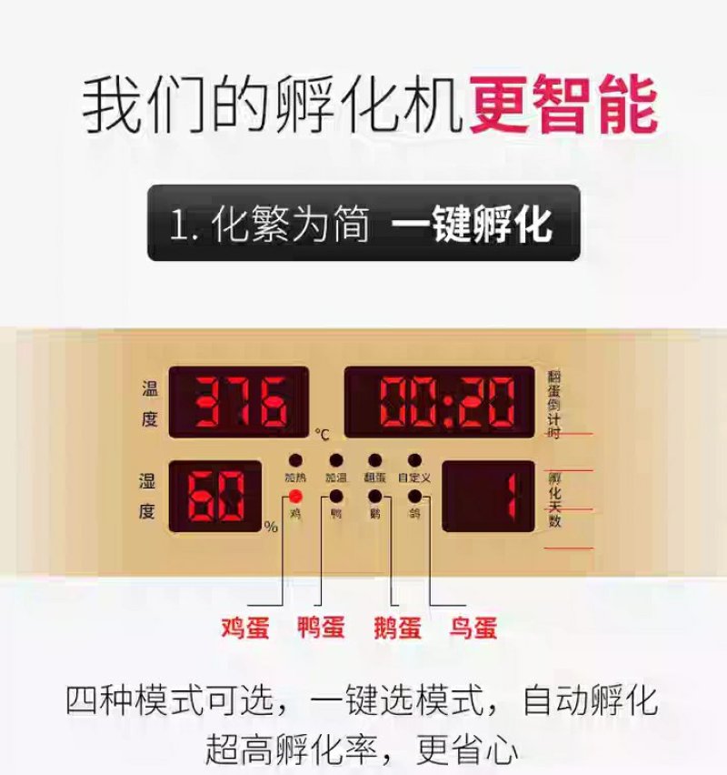 暖福宝孵化机全自动家用型孵小鸡的机器小型水床孵化器智能孵