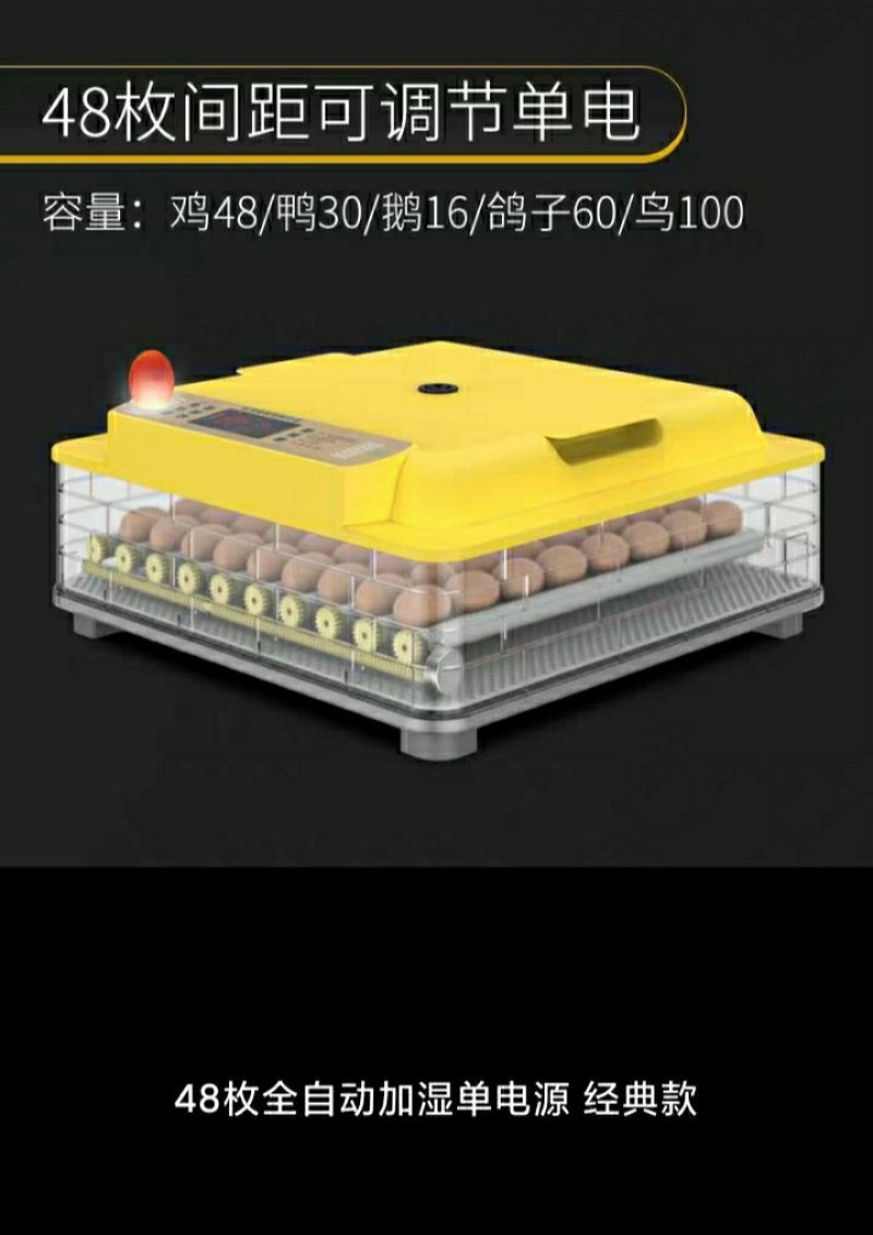 暖福宝孵化机全自动家用型孵小鸡的机器小型水床孵化器智能孵