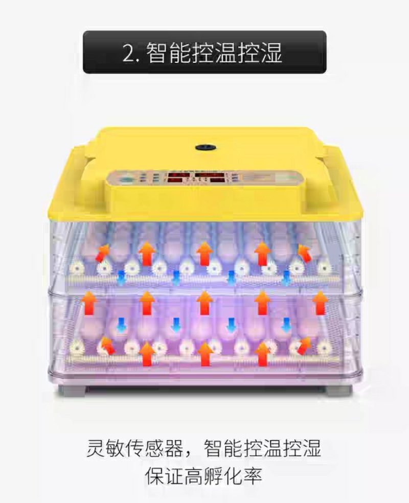 暖福宝孵化机全自动家用型孵小鸡的机器小型水床孵化器智能孵