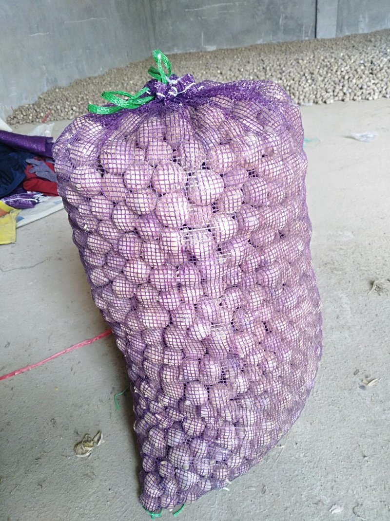 独蒜