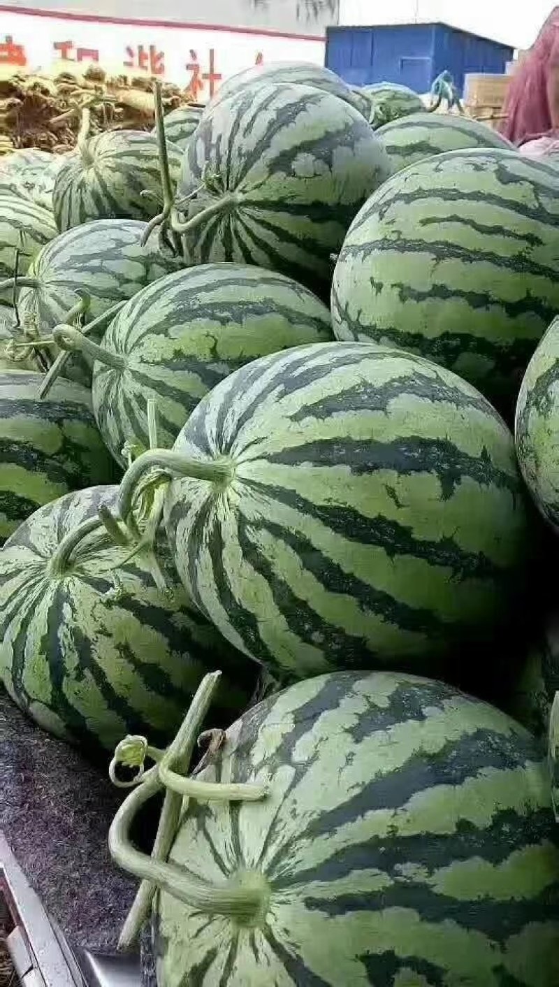 西瓜