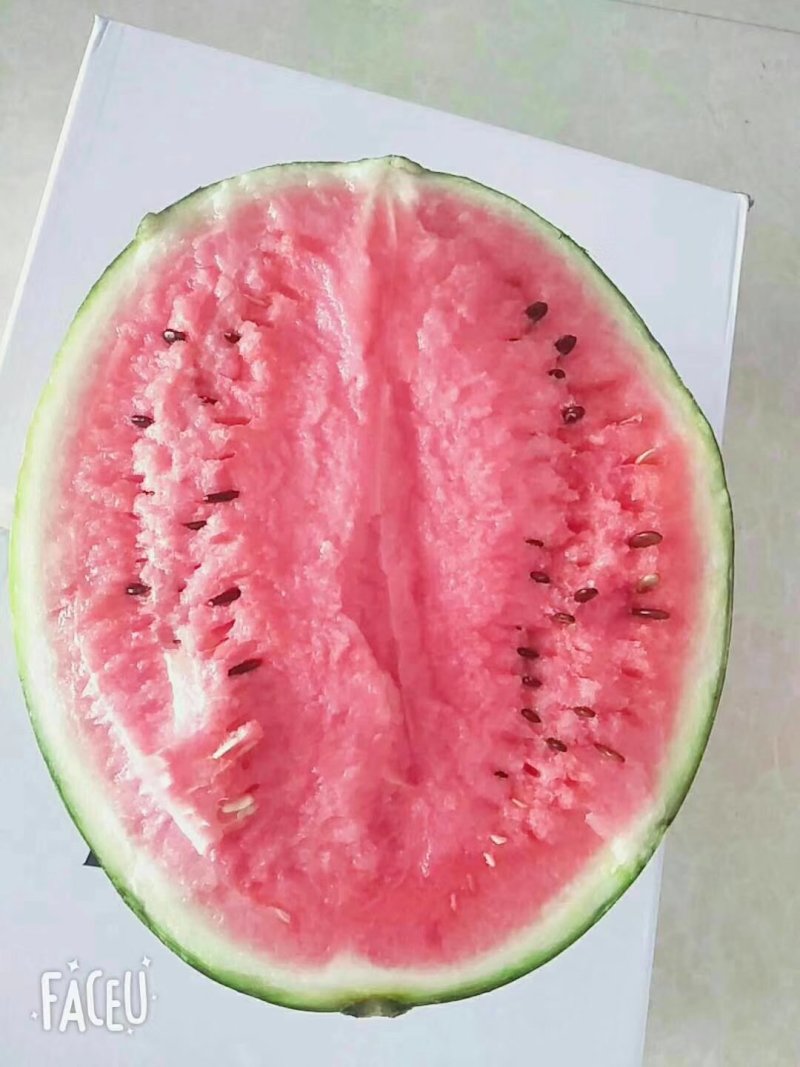 西瓜