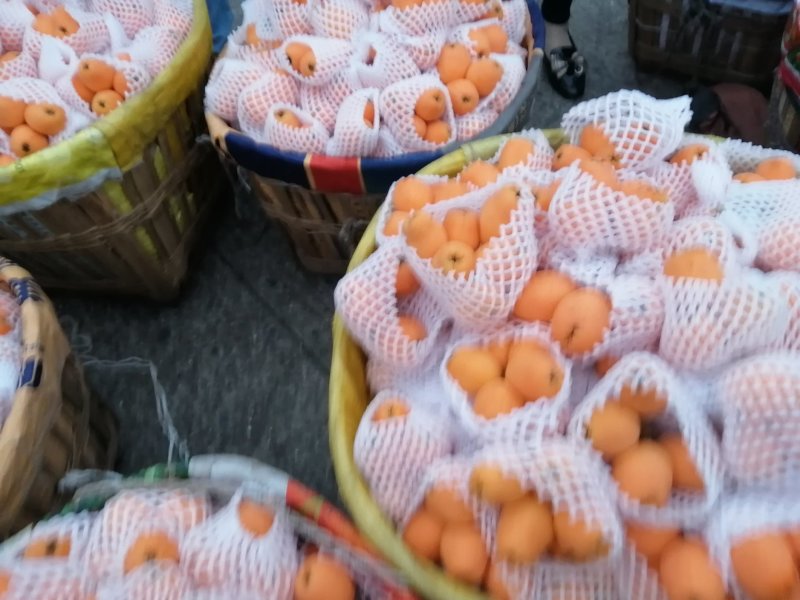 枇杷