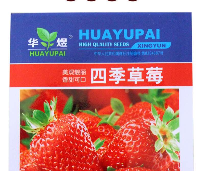 【牛商推荐】种子草莓种子易播种阳台盆栽草莓种子