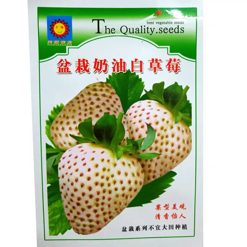 【牛商推荐】种子草莓种子易播种阳台盆栽草莓种子