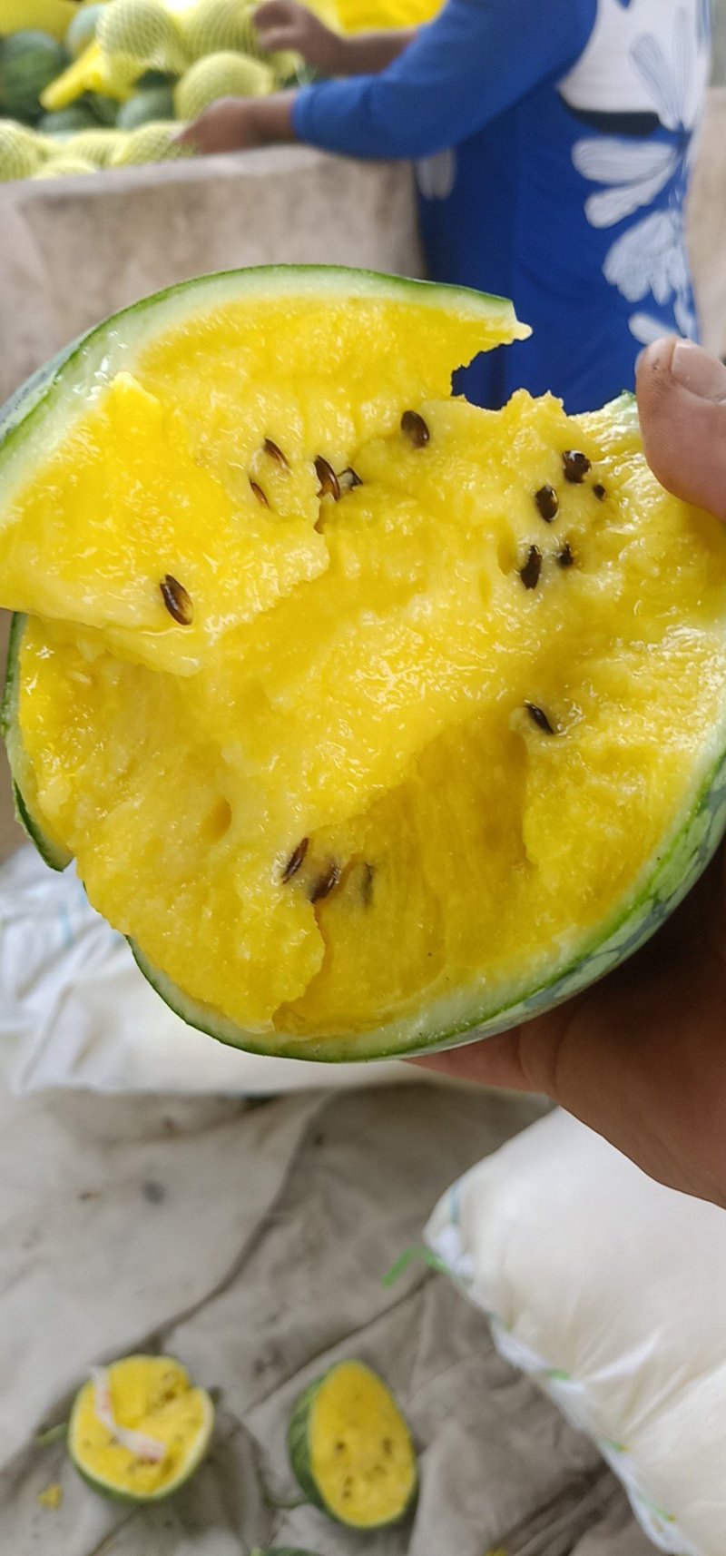 特小凤西瓜，西瓜，江苏特小凤西瓜，特小凤大量批发品质保障