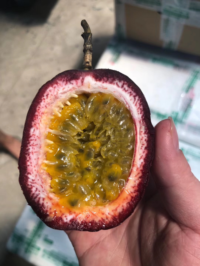 广西百香果