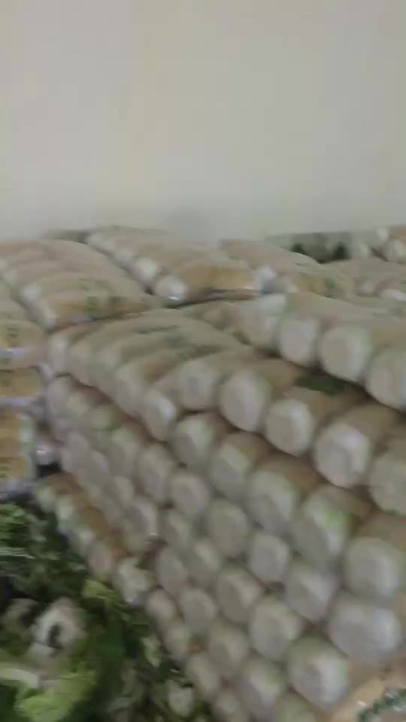 黄心大白菜，质量好货量充足，一条龙服务，