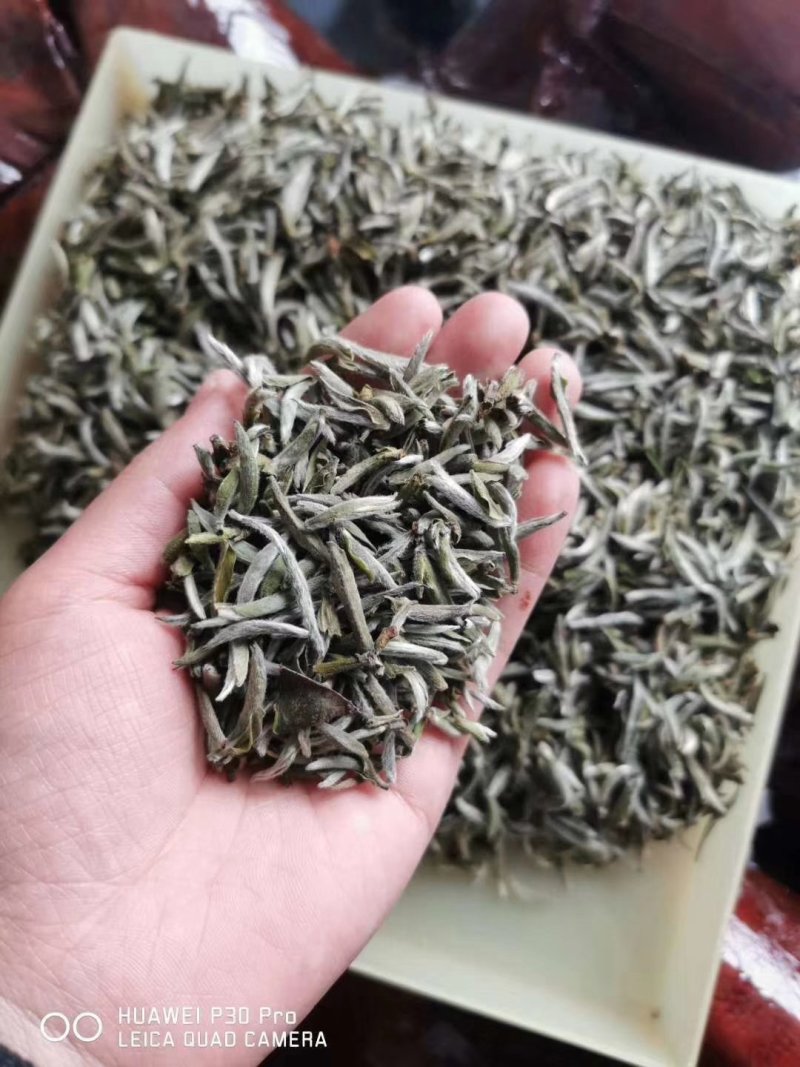 白茶