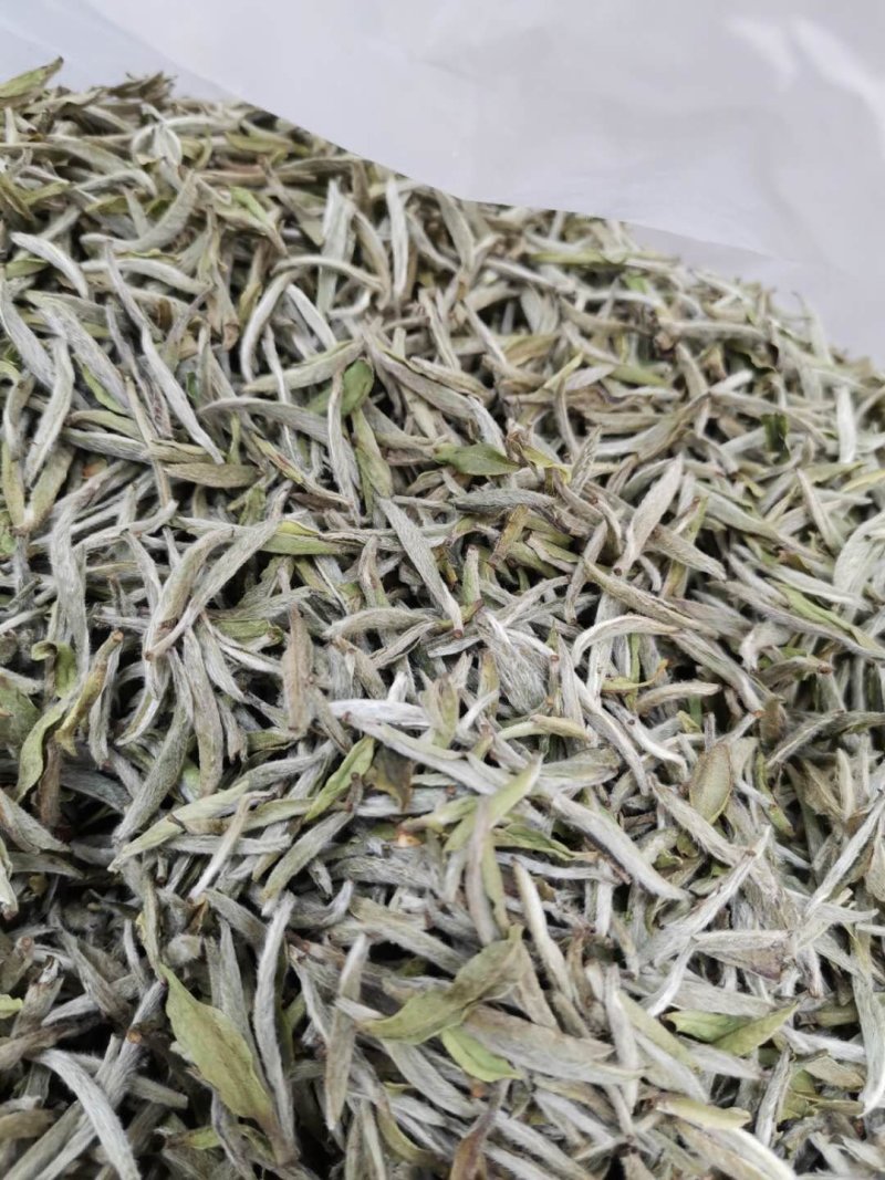 白茶