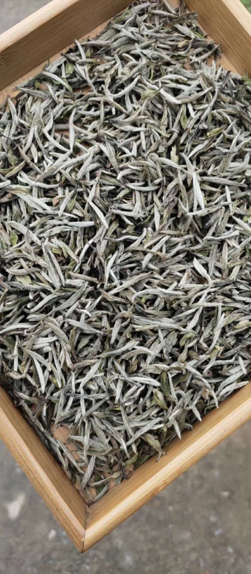 白茶