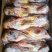 工厂直发红嘴雁，红头鸭，红头鸭批发，红嘴雁价格