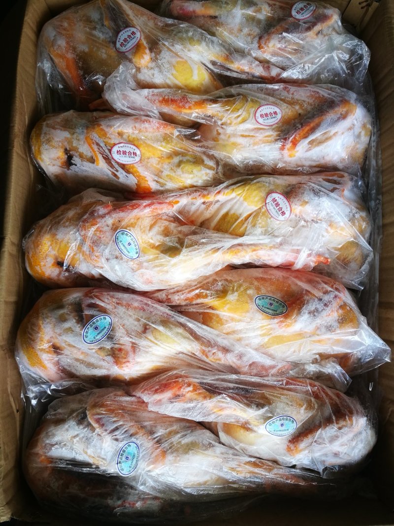 工厂直发红嘴雁，红头鸭，红头鸭批发，红嘴雁价格