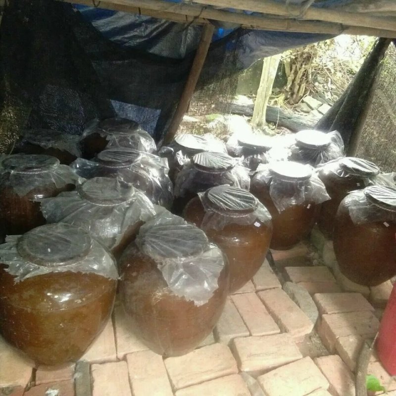 海南正宗山饼米酒，番薯酒