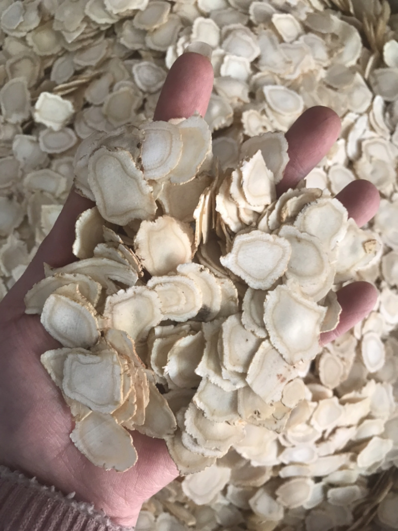 西洋参软质片各种规格批发代理产地直销
