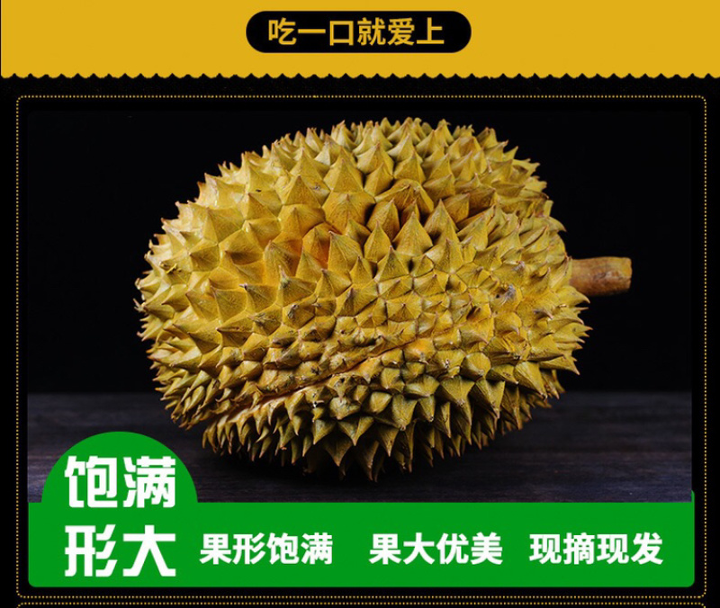 金枕头榴莲中泰铁路边境云南直发