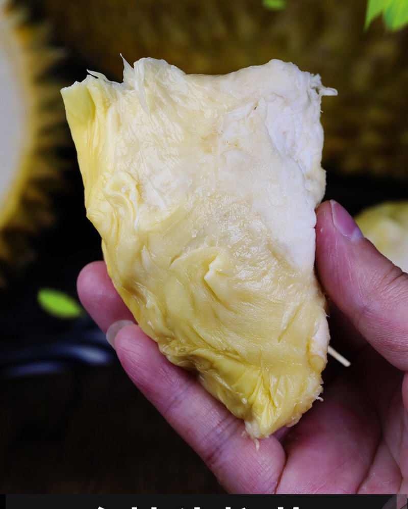 金枕头榴莲中泰铁路边境云南直发