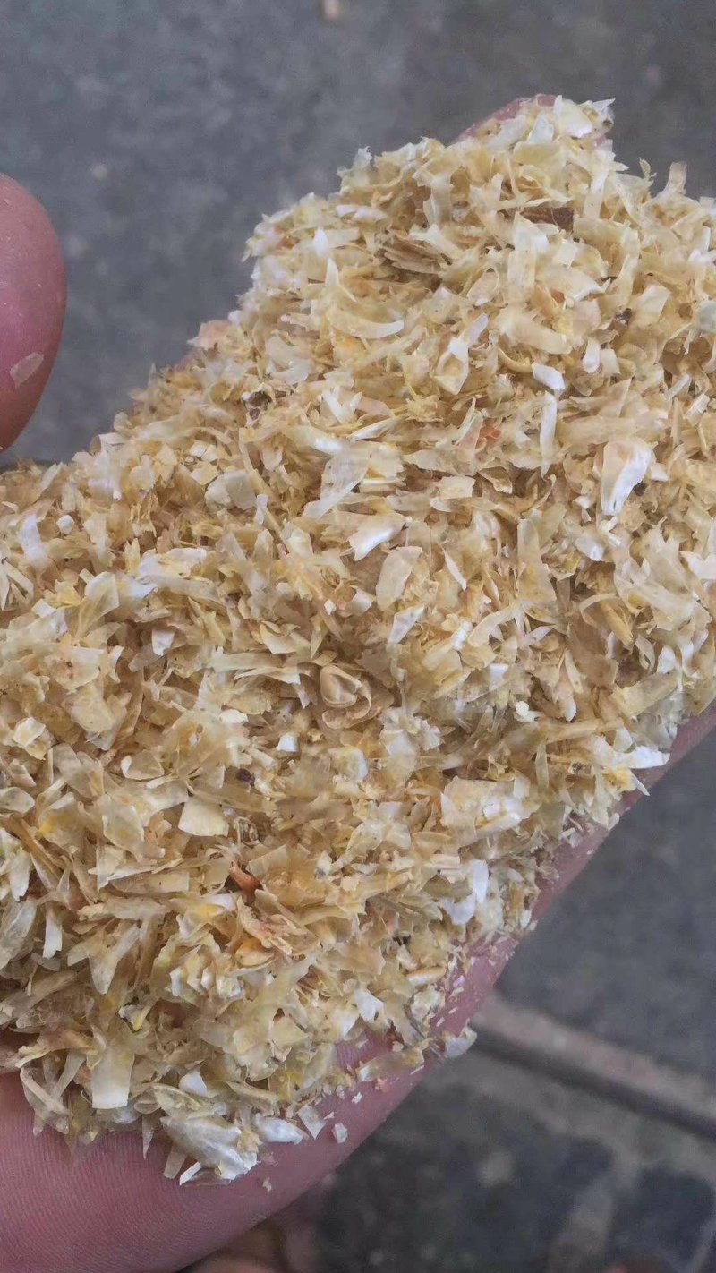玉米皮大片牛羊饲料质量保证欢迎各位老板选