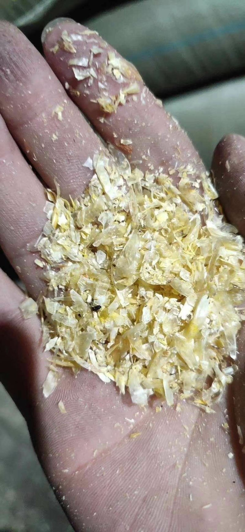 玉米皮大片牛羊饲料质量保证欢迎各位老板选