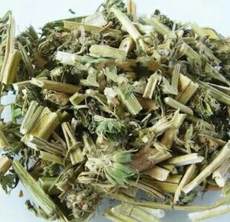 中药材益母草片益母草中草