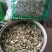 中药材益母草片益母草中草