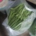 扁青芸豆