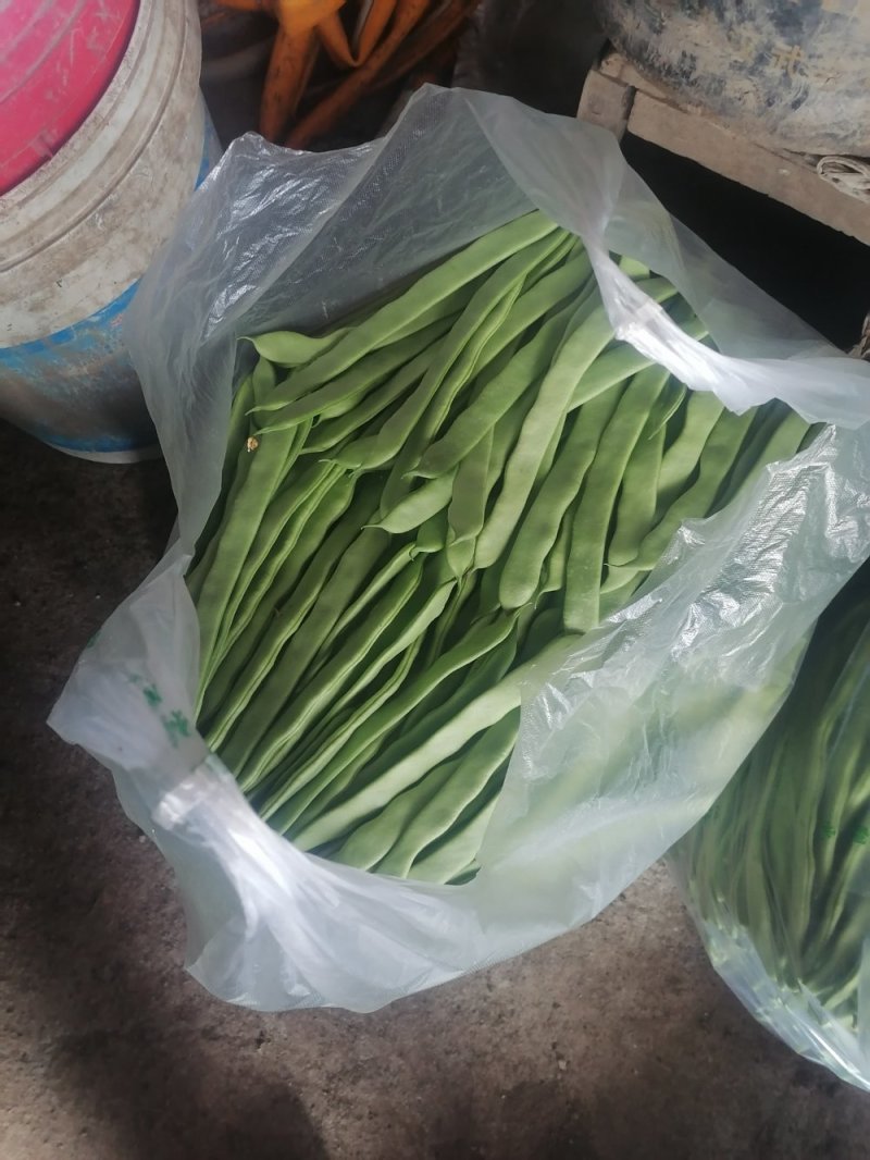 扁青芸豆