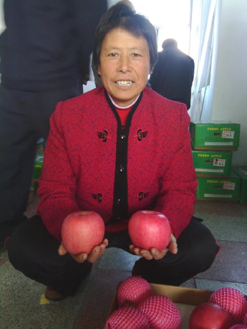 日本原装进口酵素