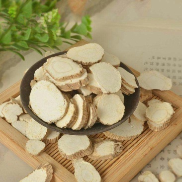 中药材白芷白芷片白芷农产品
