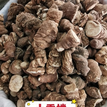 重楼华重楼产地直销量大从优一手货源