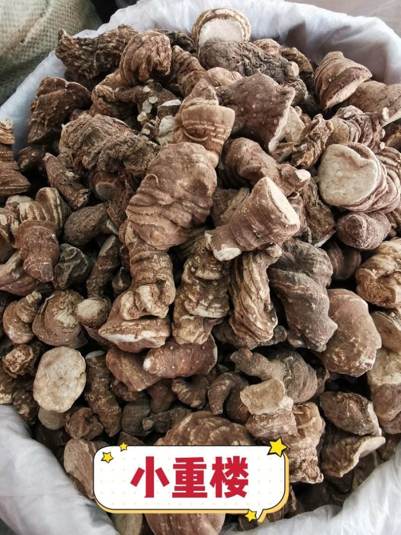 重楼华重楼产地直销量大从优一手货源