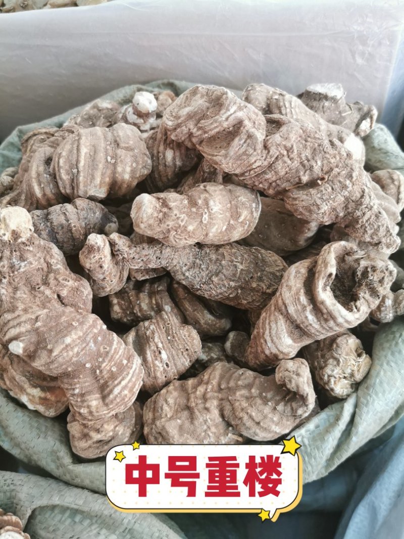 重楼华重楼产地直销量大从优一手货源