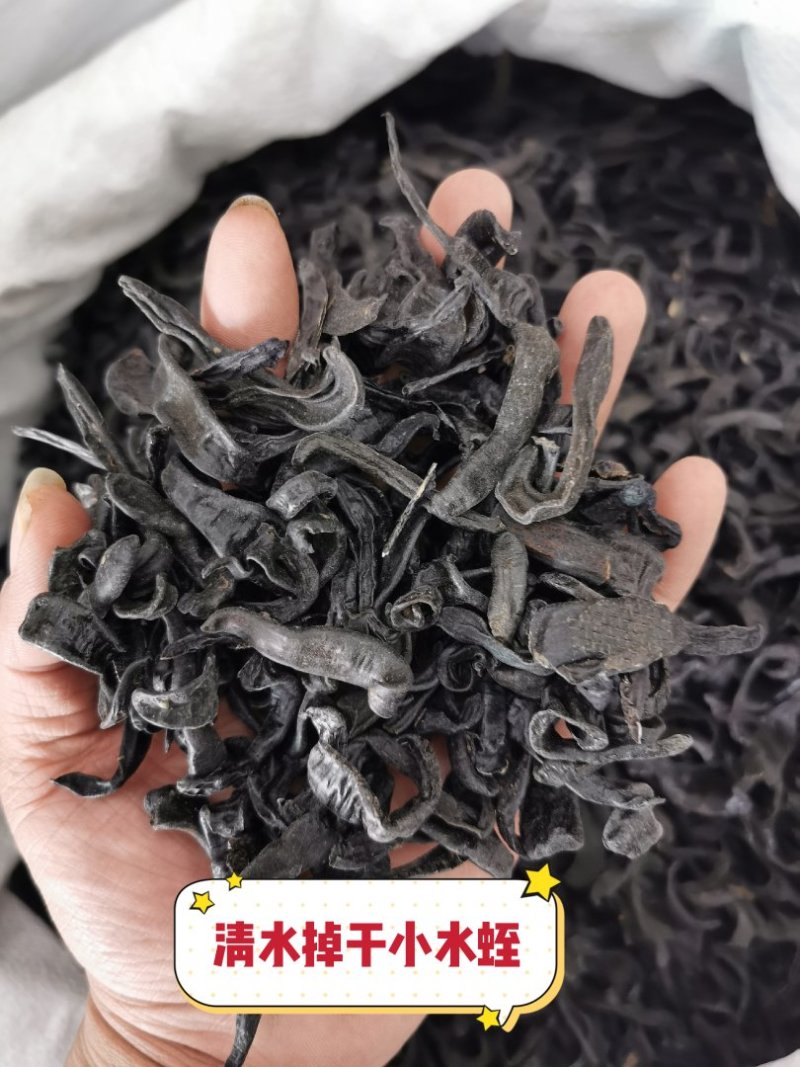 水蛭清水水蛭蚂蟥蚂蟥干