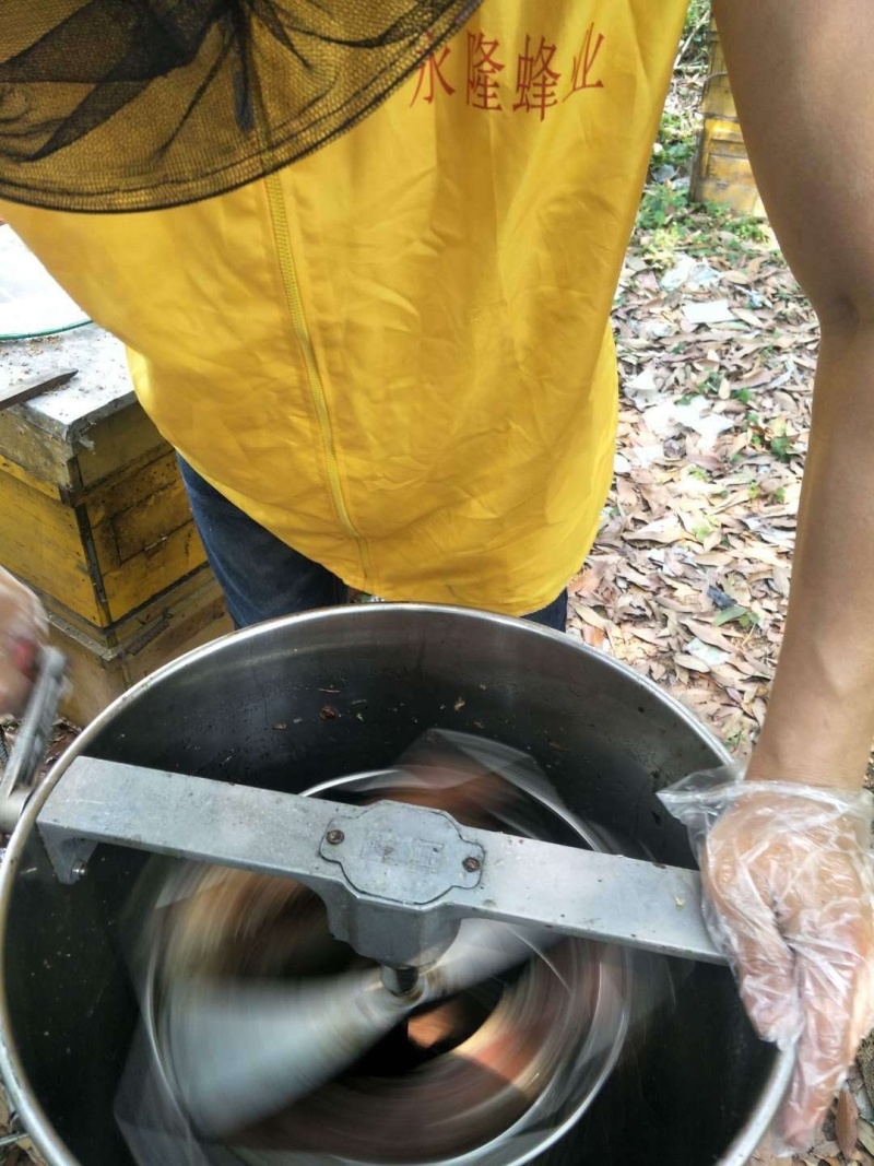 福建特产纯正蜂蜜荔枝蜜龙眼蜜百花蜜包邮新鲜