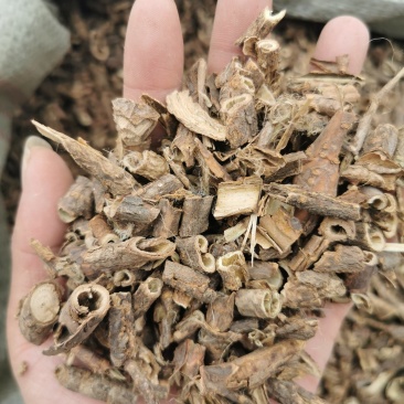 香加皮产地直销量大从优一手货源