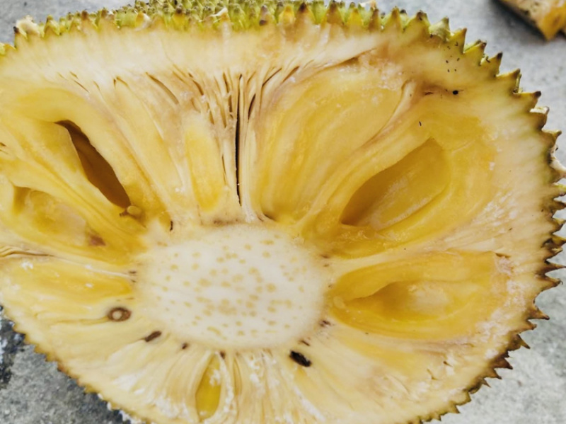 果园大量供应，菠萝蜜，龙眼，荔枝，等