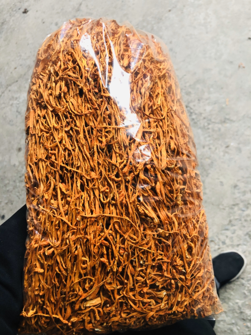 虫草花干货通货散草大箱装干净无杂质产地直销