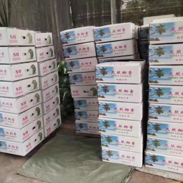 海南去皮椰青