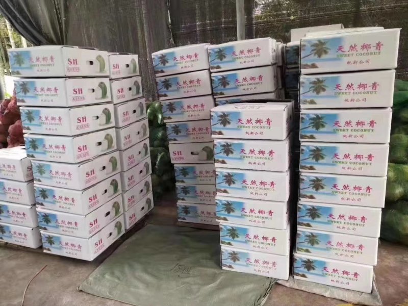 海南去皮椰青