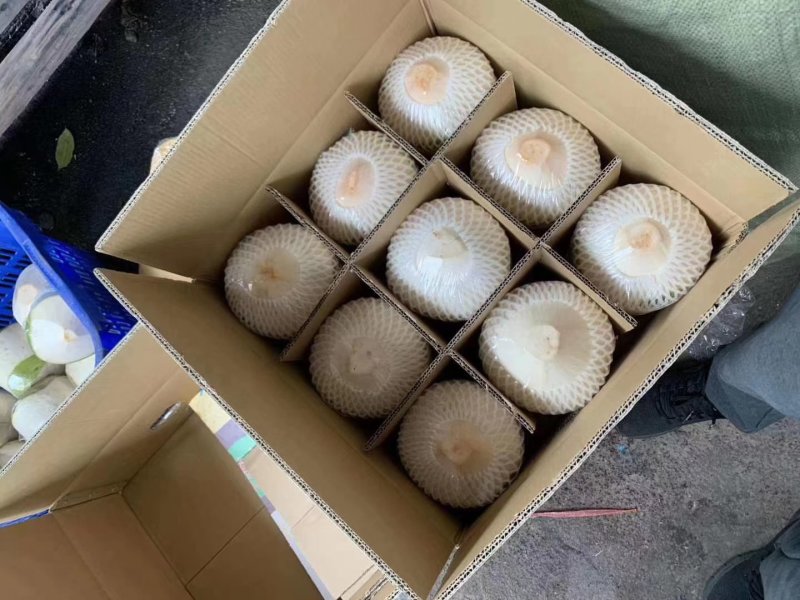 海南去皮椰青