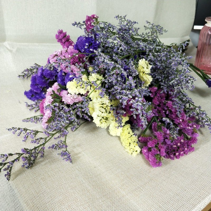 【云南勿忘我】基地大量供应颜色齐全质量保证