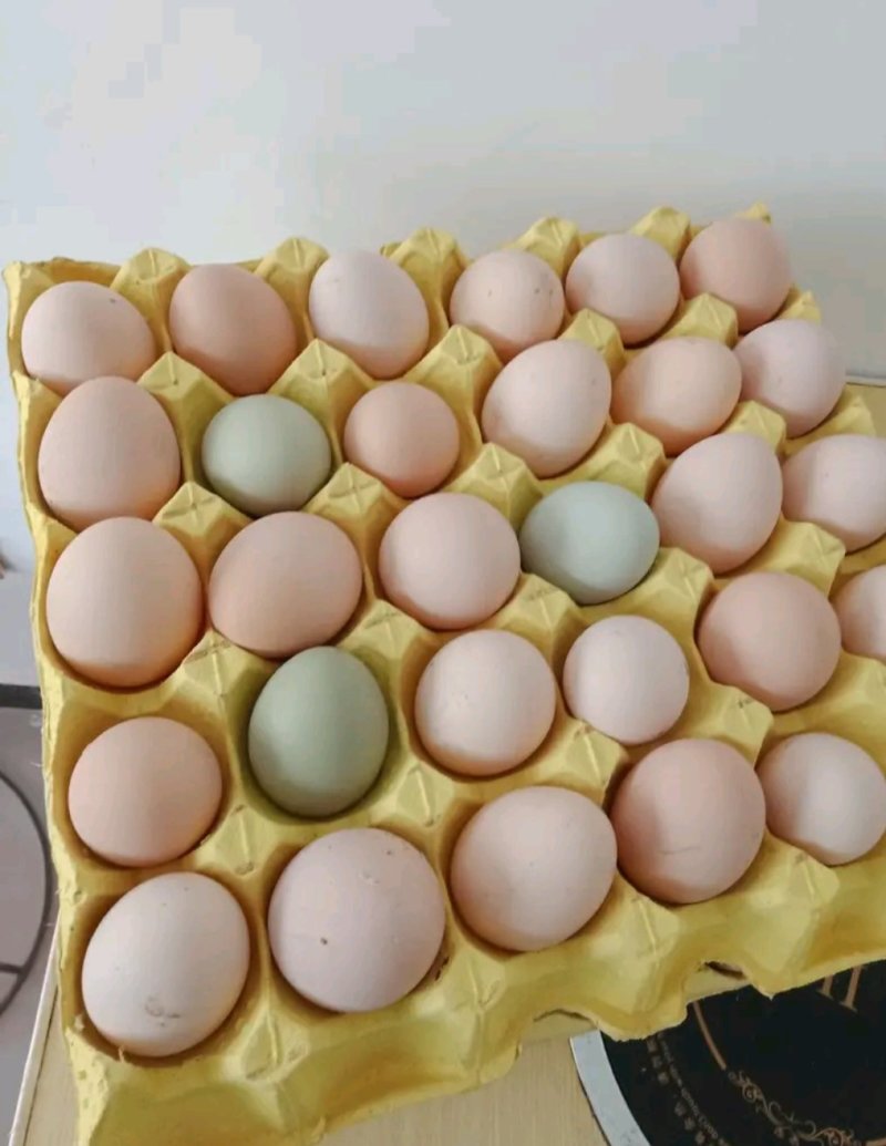 农村土鸡蛋