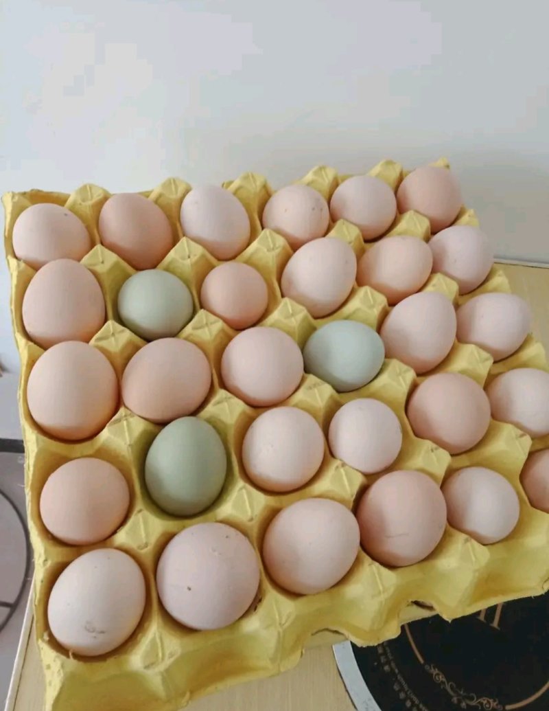 农村土鸡蛋