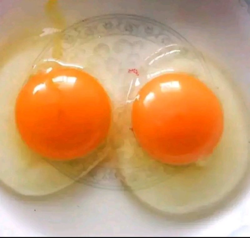 农村土鸡蛋